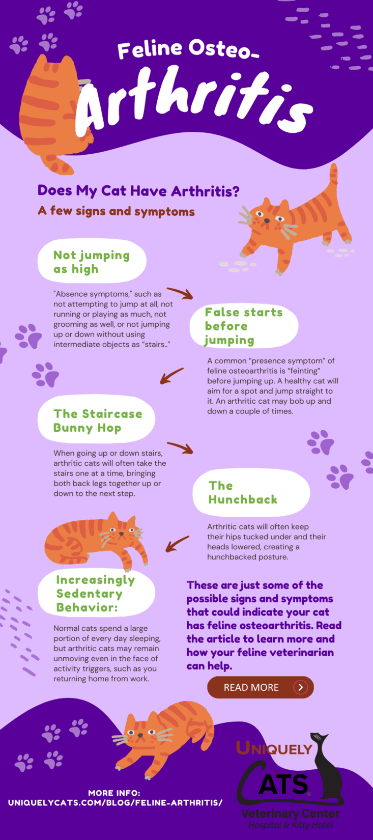 Feline Osteoarthritis